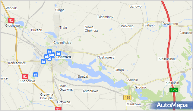 mapa Pluskowęsy gmina Chełmża, Pluskowęsy gmina Chełmża na mapie Targeo