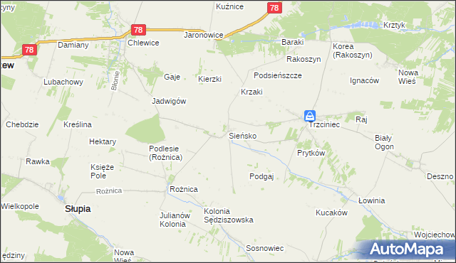 mapa Sieńsko, Sieńsko na mapie Targeo