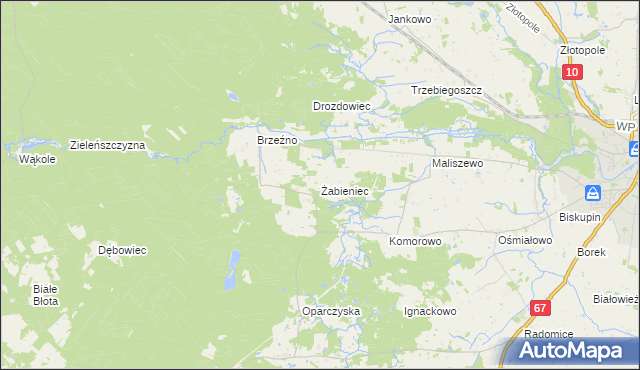 mapa Żabieniec gmina Lipno, Żabieniec gmina Lipno na mapie Targeo