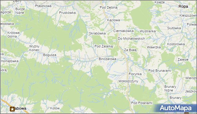 mapa Binczarowa, Binczarowa na mapie Targeo