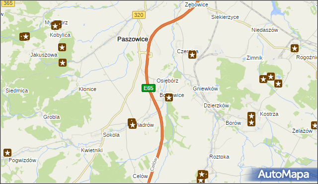 mapa Bolkowice gmina Paszowice, Bolkowice gmina Paszowice na mapie Targeo