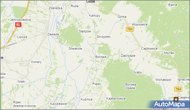 mapa Borowa gmina Gidle, Borowa gmina Gidle na mapie Targeo