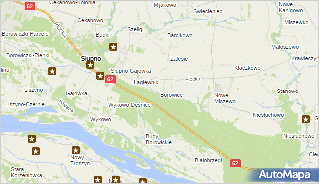 mapa Borowice gmina Bodzanów, Borowice gmina Bodzanów na mapie Targeo