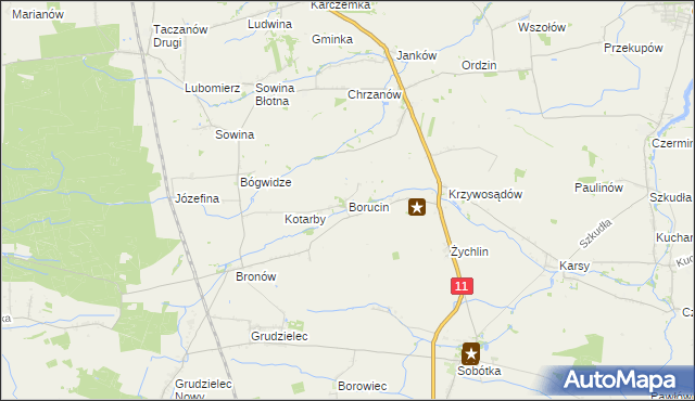 mapa Borucin gmina Pleszew, Borucin gmina Pleszew na mapie Targeo