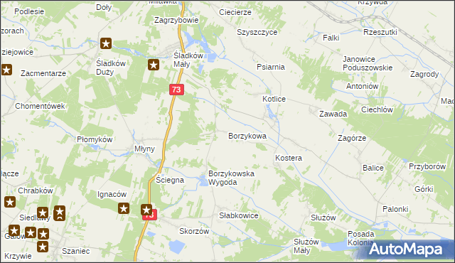mapa Borzykowa gmina Chmielnik, Borzykowa gmina Chmielnik na mapie Targeo