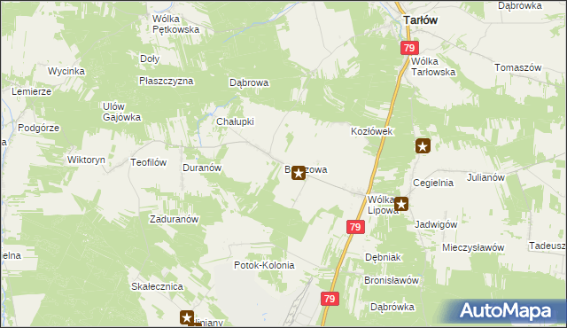 mapa Brzozowa gmina Tarłów, Brzozowa gmina Tarłów na mapie Targeo