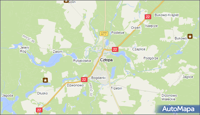 mapa Człopa, Człopa na mapie Targeo