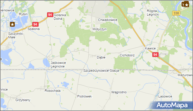 mapa Dąbie gmina Prochowice, Dąbie gmina Prochowice na mapie Targeo