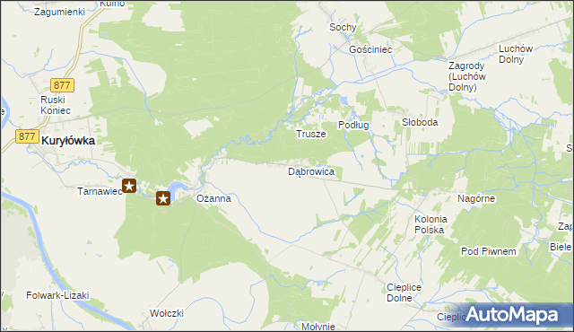 mapa Dąbrowica gmina Kuryłówka, Dąbrowica gmina Kuryłówka na mapie Targeo