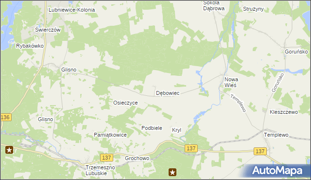 mapa Dębowiec gmina Bledzew, Dębowiec gmina Bledzew na mapie Targeo