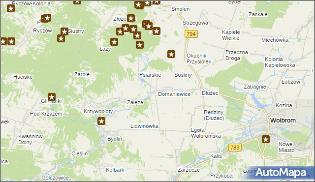 mapa Domaniewice gmina Wolbrom, Domaniewice gmina Wolbrom na mapie Targeo