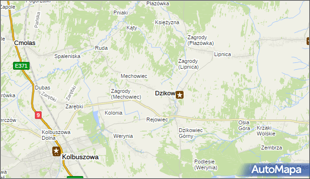 mapa Dzikowiec powiat kolbuszowski, Dzikowiec powiat kolbuszowski na mapie Targeo