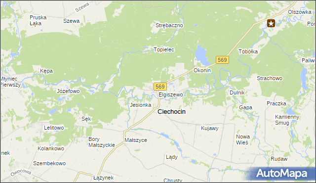 mapa Elgiszewo, Elgiszewo na mapie Targeo