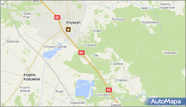 mapa Gaj gmina Dobrzyniewo Duże, Gaj gmina Dobrzyniewo Duże na mapie Targeo