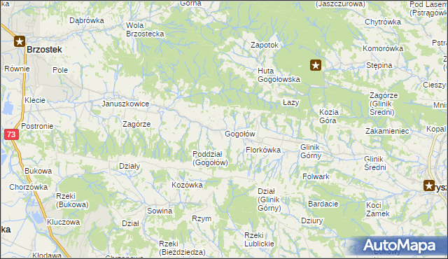 mapa Gogołów gmina Frysztak, Gogołów gmina Frysztak na mapie Targeo