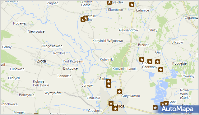 mapa Kobylniki gmina Wiślica, Kobylniki gmina Wiślica na mapie Targeo