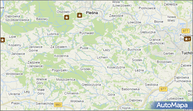mapa Lichwin gmina Pleśna, Lichwin gmina Pleśna na mapie Targeo
