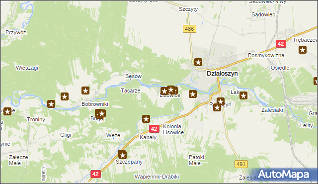 mapa Lisowice gmina Działoszyn, Lisowice gmina Działoszyn na mapie Targeo