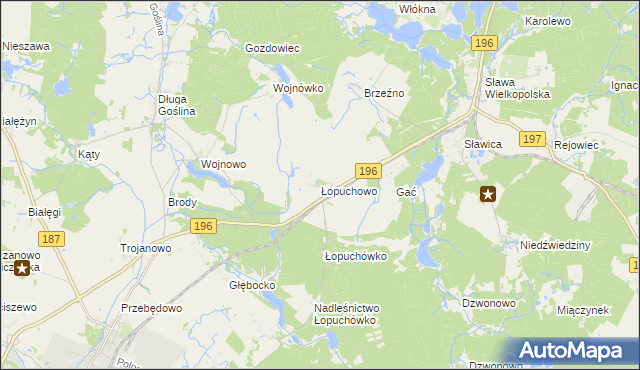 mapa Łopuchowo gmina Murowana Goślina, Łopuchowo gmina Murowana Goślina na mapie Targeo