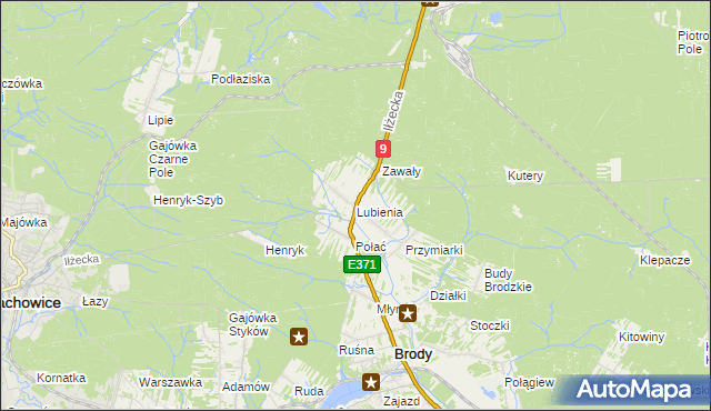 mapa Lubienia gmina Brody, Lubienia gmina Brody na mapie Targeo