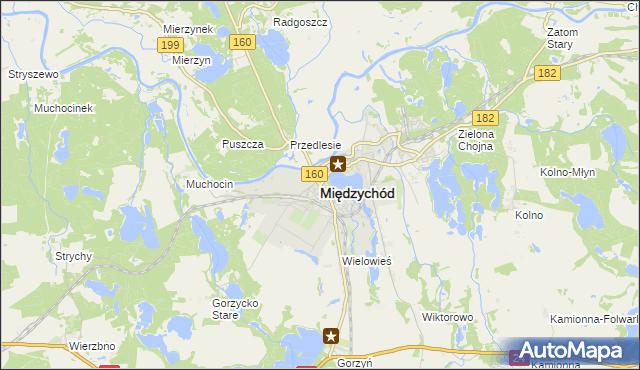 mapa Międzychód, Międzychód na mapie Targeo