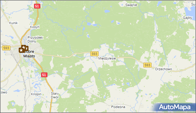 mapa Międzylesie gmina Dobre Miasto, Międzylesie gmina Dobre Miasto na mapie Targeo