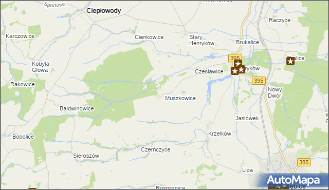 mapa Muszkowice, Muszkowice na mapie Targeo