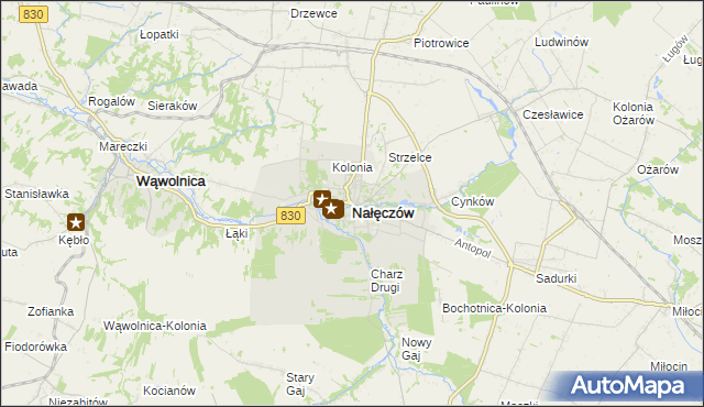 mapa Nałęczów powiat puławski, Nałęczów powiat puławski na mapie Targeo