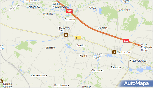 mapa Olesin gmina Kurów, Olesin gmina Kurów na mapie Targeo