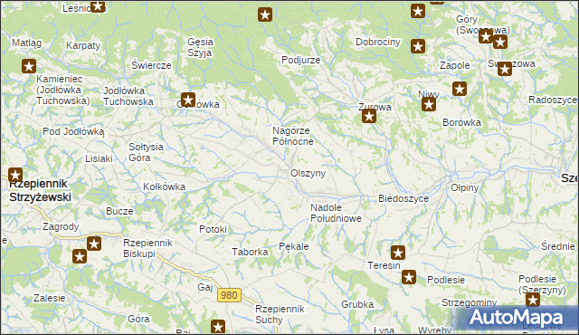 mapa Olszyny gmina Rzepiennik Strzyżewski, Olszyny gmina Rzepiennik Strzyżewski na mapie Targeo