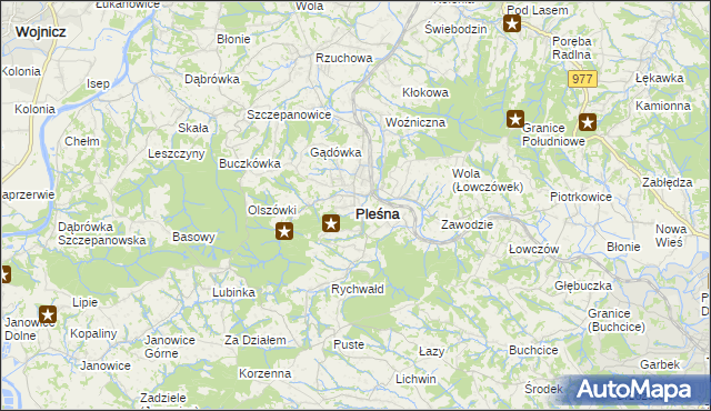 mapa Pleśna powiat tarnowski, Pleśna powiat tarnowski na mapie Targeo