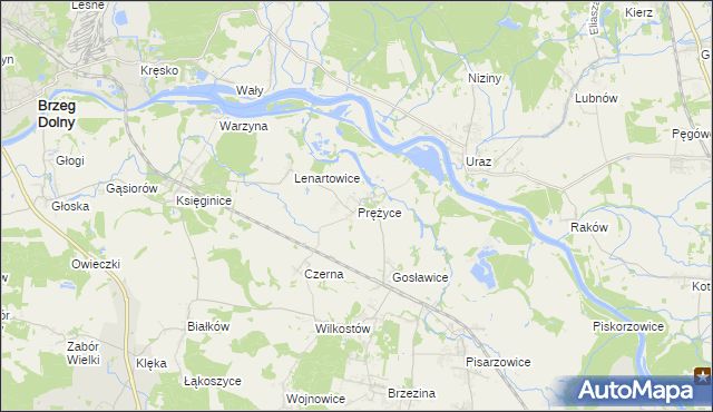 mapa Prężyce, Prężyce na mapie Targeo