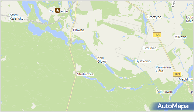 mapa Psie Głowy, Psie Głowy na mapie Targeo