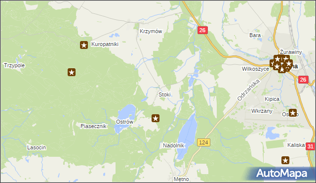 mapa Stoki gmina Chojna, Stoki gmina Chojna na mapie Targeo