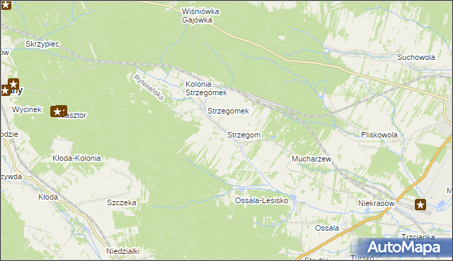 mapa Strzegom gmina Rytwiany, Strzegom gmina Rytwiany na mapie Targeo