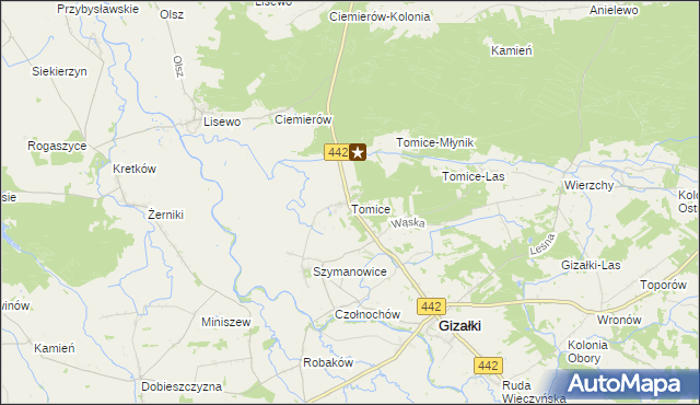 mapa Tomice gmina Gizałki, Tomice gmina Gizałki na mapie Targeo