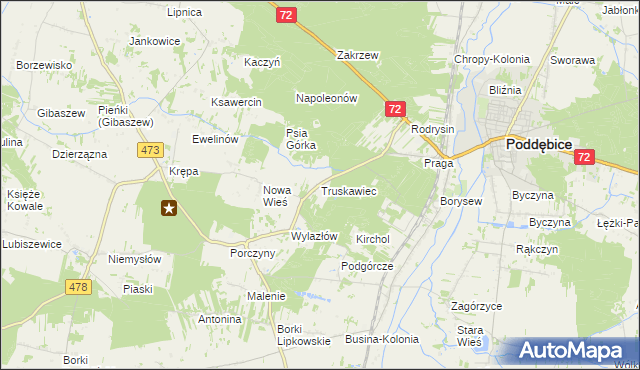 mapa Truskawiec gmina Poddębice, Truskawiec gmina Poddębice na mapie Targeo