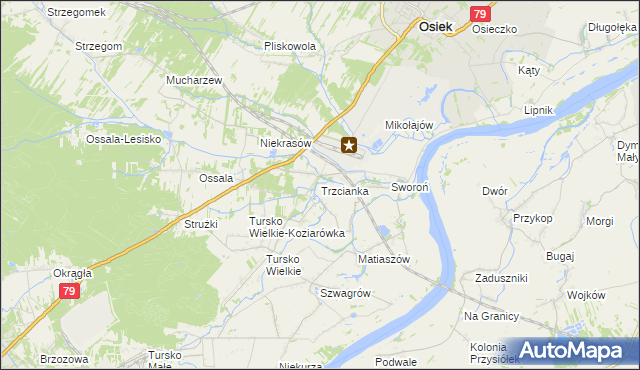 mapa Trzcianka gmina Osiek, Trzcianka gmina Osiek na mapie Targeo