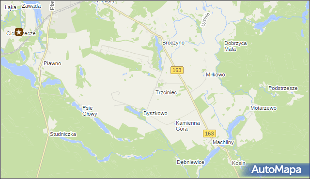 mapa Trzciniec gmina Czaplinek, Trzciniec gmina Czaplinek na mapie Targeo