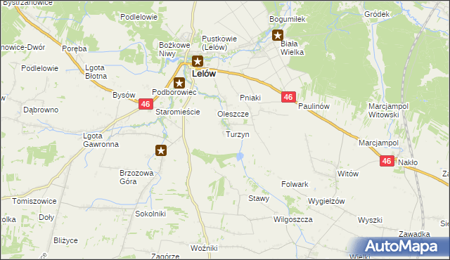 mapa Turzyn gmina Lelów, Turzyn gmina Lelów na mapie Targeo