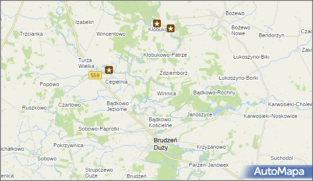 mapa Winnica gmina Brudzeń Duży, Winnica gmina Brudzeń Duży na mapie Targeo