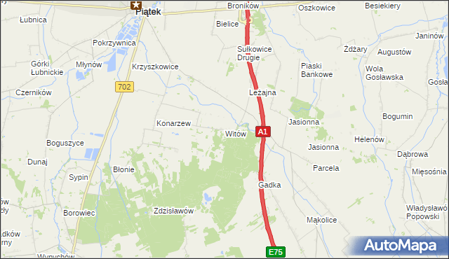 mapa Witów gmina Piątek, Witów gmina Piątek na mapie Targeo