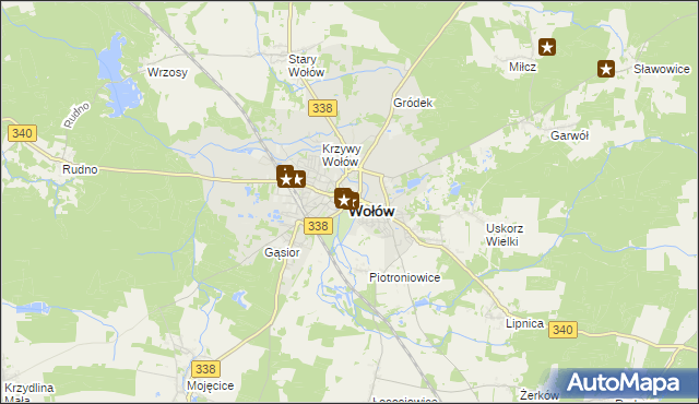 mapa Wołów, Wołów na mapie Targeo