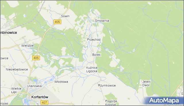 mapa Borek gmina Korfantów, Borek gmina Korfantów na mapie Targeo