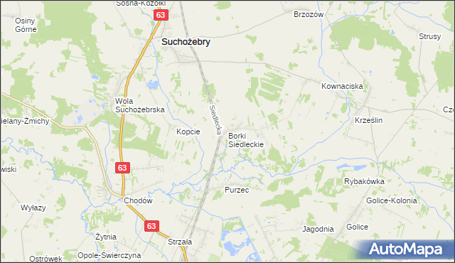 mapa Borki Siedleckie, Borki Siedleckie na mapie Targeo