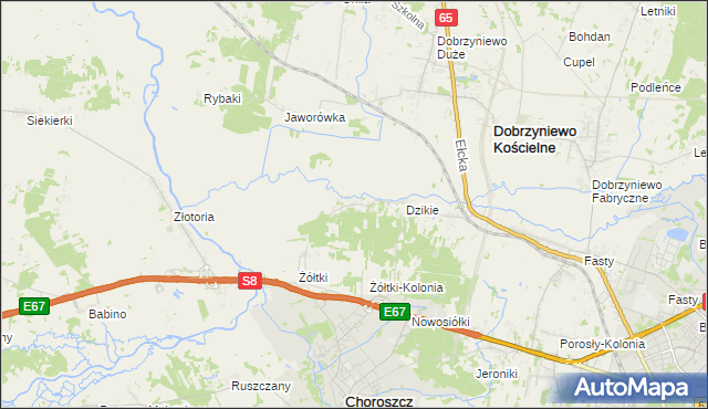 mapa Dzikie-Kolonia, Dzikie-Kolonia na mapie Targeo