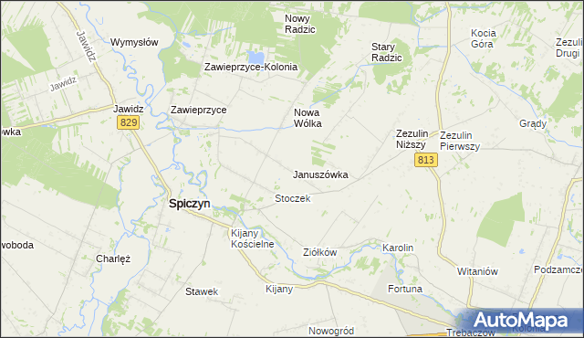 mapa Januszówka gmina Spiczyn, Januszówka gmina Spiczyn na mapie Targeo