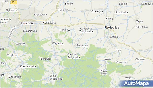 mapa Tuligłowy gmina Rokietnica, Tuligłowy gmina Rokietnica na mapie Targeo