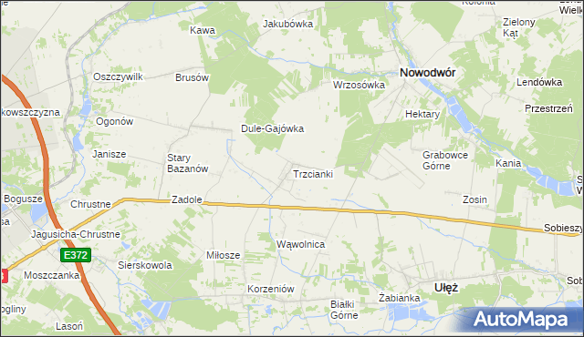 mapa Trzcianki gmina Nowodwór, Trzcianki gmina Nowodwór na mapie Targeo
