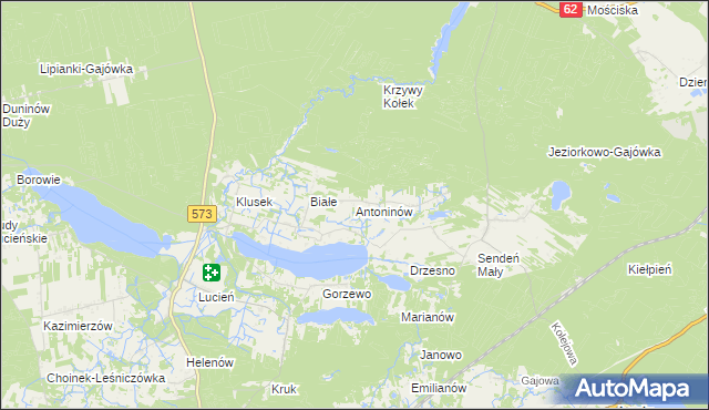 mapa Antoninów gmina Gostynin, Antoninów gmina Gostynin na mapie Targeo